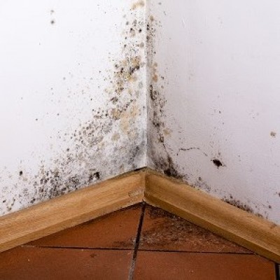 KEEPING YOUR HOME DAMP FREE